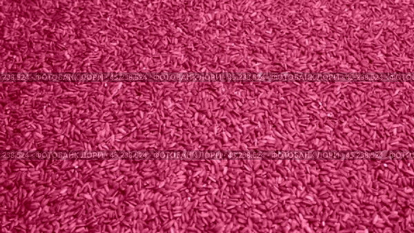 Viva Magenta abstract Food and Drink background. Color of the Year 2023. Dry Tea Wallpaper. Tea Leaves rotating on Turntable. Top View. Texture. Full Frame. Copy Space. Dried Tea is Spinning. Стоковое видео, видеограф Марина Демидюк / Фотобанк Лори