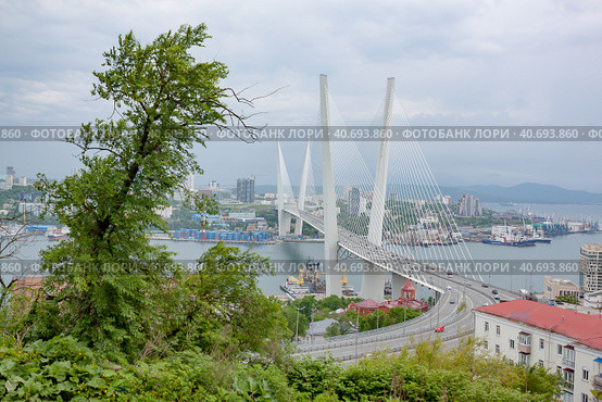 Владивосток. Вид на Золотой мост в пасмурную погоду. Стоковое фото, фотограф Галина / Фотобанк Лори