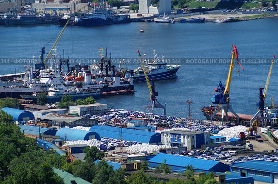 Владивостокский морской рыбный порт (2024 год). Редакционное фото, фотограф Яна Савинова / Фотобанк Лори