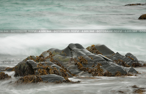 Вода и камень. Стоковое фото, фотограф Роман Мухин / Фотобанк Лори