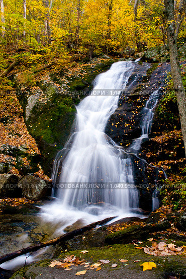 Водопад в Вирджинии (США) Crabtree Falls (2008 год). Стоковое фото, фотограф Ирина Кожемякина / Фотобанк Лори