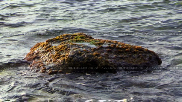 Волны Черного моря омывают камень около берега. Стоковое видео, видеограф Арташес Оганджанян / Фотобанк Лори