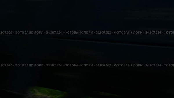 Встречный поезд перекрывает вид из окна купе на стадо коров на пастбище. In the gleams between the cars of an oncoming freight train you can see cows grazing in a meadow. Стоковое видео, видеограф Владимир Литвинов / Фотобанк Лори