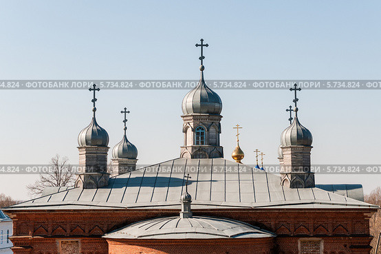 Введенская Жабынская пустынь. Купола храма (2014 год). Стоковое фото, фотограф Игорь Низов / Фотобанк Лори