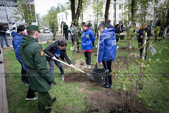 Высадка деревьев на «Аллее Памяти» в Балашихе в честь павших в зоне СВО участников. Редакционное фото, фотограф Дмитрий Неумоин / Фотобанк Лори