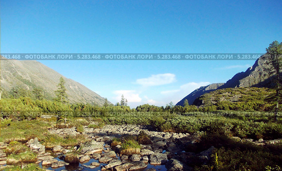 Высокогорные луга Баргузинский хребет на озере Байкал. Стоковое фото, фотограф Пыткина Альбина / Фотобанк Лори