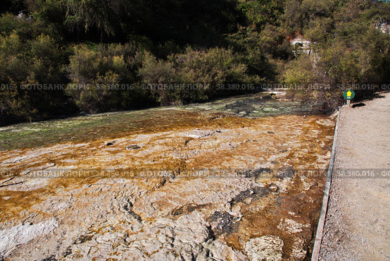 Wai-o-tapu geothermal Park, Rotorua, New Zealand. Стоковое фото, фотограф Сергей Стрелков / Фотобанк Лори