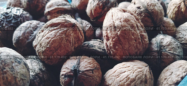 Walnuts close-up. Harvest of nuts. Walnut fruits, rounded large single single-seeded drupes. A healthy diet that includes glycerides of linoleic, oleic, stearic, palmitic and linolenic acids. Стоковое фото, фотограф Юлия Петровская / Фотобанк Лори