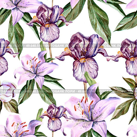 Watercolor pattern with flowers  iris, peonies and lilies, buds and petals. Illustration. Watercolor pattern with flowers  iris, peonies and lilies, buds and petals. Стоковое фото, агентство Ingram Publishing / Фотобанк Лори