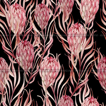 Watercolor wedding pink tropical seamless pattern with Exotic flowers protea and palm leaves. Illustration. Watercolor wedding pink tropical seamless pattern with Exotic flowers protea and palm leaves. . Стоковое фото, агентство Ingram Publishing / Фотобанк Лори