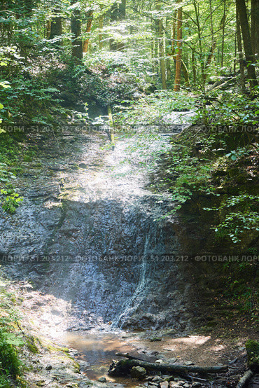 Waterfall in a dense forest, water pours over a rock. Стоковое фото, фотограф Наталия Кирсанова / Фотобанк Лори