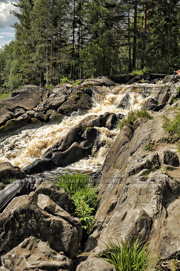 Waterfall Kivach in Kareliya - the second largest, after the Rhine, plain waterfall in Europe. Стоковое фото, фотограф Анна Кривицкая / Фотобанк Лори