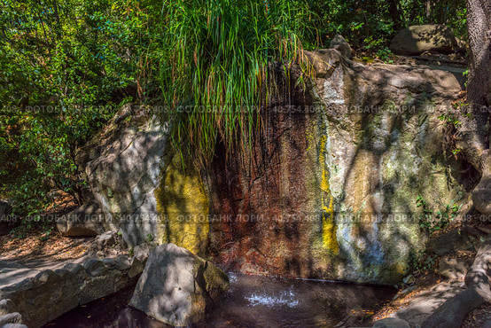 Waterfall of "Tears" in the Vorontsovsky Park. Стоковое фото, фотограф Анна Кривицкая / Фотобанк Лори