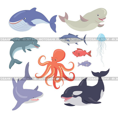 Whale, Shark, Octopus, Seals, Jellyfish, Salmon. Sea life creatures vector set. Whale, shark, octopus, seals, jellyfish, hake, salmon, dolphin. Sea cartoon inhabitants in flat style design. Sea life animals on white background. Vector illustration. Стоковая иллюстрация, агентство Ingram Publishing / Фотобанк Лори