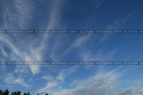 White clouds in the sky. Стоковое фото, фотограф Andrew_Swarga / Фотобанк Лори