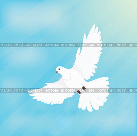 White dove soars in space design flat. White dove flying, white bird, white dove isolated, bird dove, white pigeon, dove feather, nature wing dove, free flight dove, soaring pigeon illustration. Стоковая иллюстрация, агентство Ingram Publishing / Фотобанк Лори