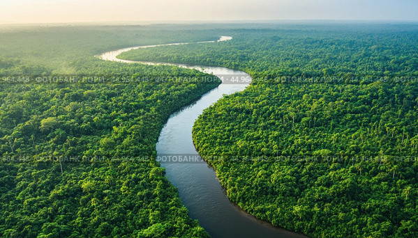 Wide river meandering through the lush green amazon rainforest at sunrise. Стоковое AI-изображение, AI-художник Юрий Поздников / Фотобанк Лори