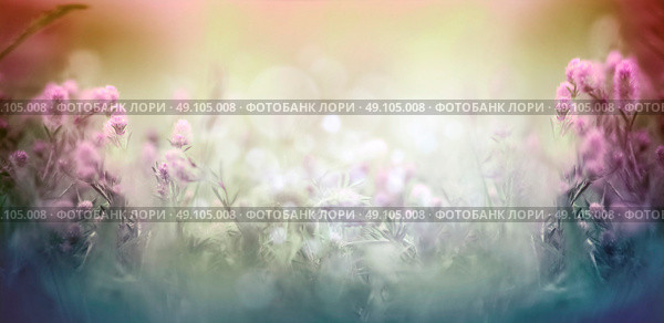 Wild  flowers and herbs plant on for blurred nature background, banner. Стоковое фото, агентство Ingram Publishing / Фотобанк Лори