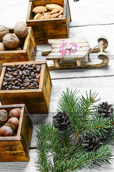 Wild nuts for Christmas. Christmas card with assortments of nuts and decorative sled. Стоковое фото, агентство Ingram Publishing / Фотобанк Лори