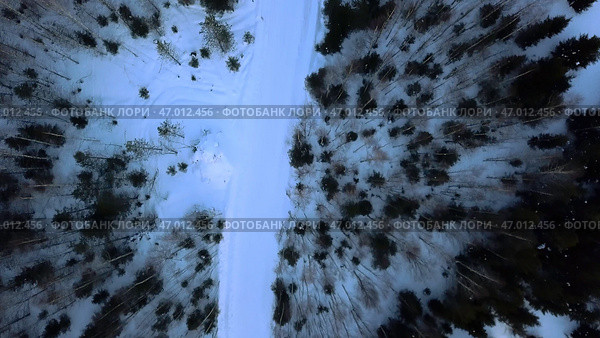 Winter landscapes with a moving man on a snowmobile in a dark forest. Стоковое фото, фотограф David Kashakhi / Фотобанк Лори