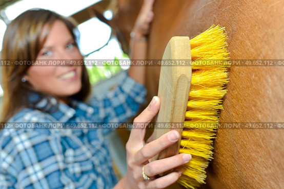 Woman brushing side of horse. Стоковое фото, агентство Ingram Publishing / Фотобанк Лори