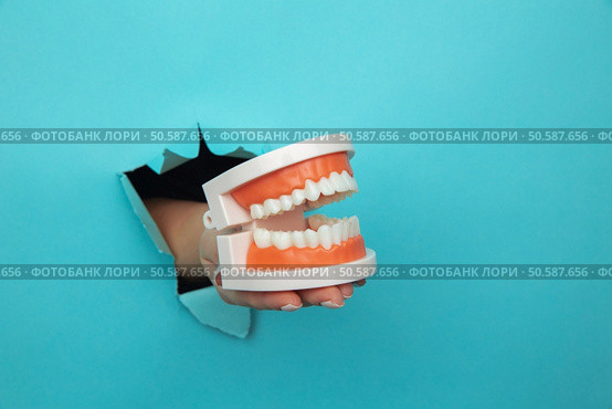 Woman hand showing a model of jaw out of a hole torn in blue paper wall. Health care concept.. Woman hand showing a model of jaw out of a hole torn in blue paper wall. Health care concept. Стоковое фото, агентство Ingram Publishing / Фотобанк Лори