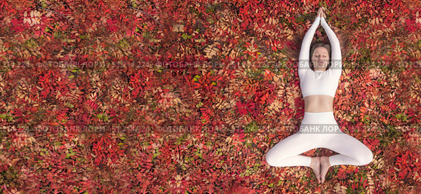 Woman practicing yoga in a serene autumn setting surrounded by vibrant leaves. A woman is engaged in health and fitness on a carpet of red leaves autumn flat lay. Стоковое фото, фотограф Владимир Разгуляев / Фотобанк Лори
