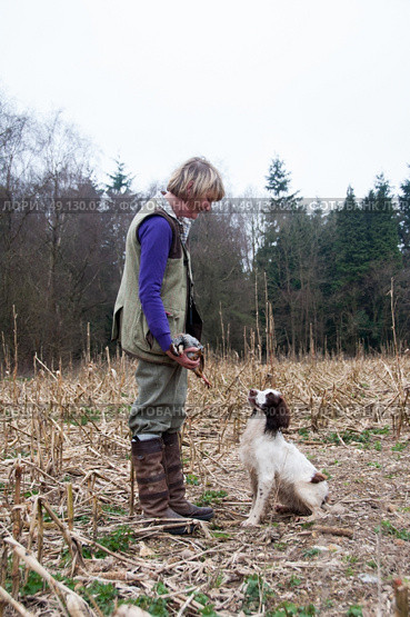 Woman working her spaniel on a game shoot. Стоковое фото, агентство Ingram Publishing / Фотобанк Лори