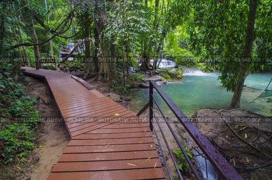 Wooden boardwalk with safety railing in summer forest. Стоковое фото, агентство Ingram Publishing / Фотобанк Лори