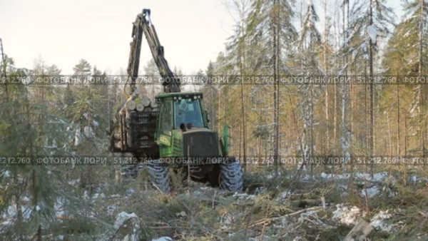 work skidder logging in winter. Стоковое видео, видеограф Алексей Сергеев / Фотобанк Лори
