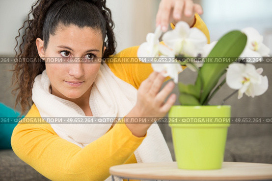 young beautiful brunette woman touching flowers at home. Стоковое фото, агентство Ingram Publishing / Фотобанк Лори