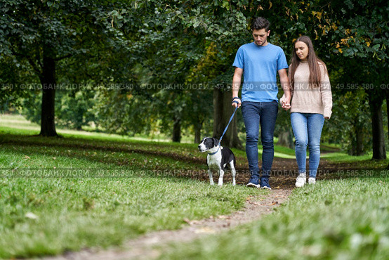 Young couple walking their pet dog along path in the park. Стоковое фото, агентство Ingram Publishing / Фотобанк Лори