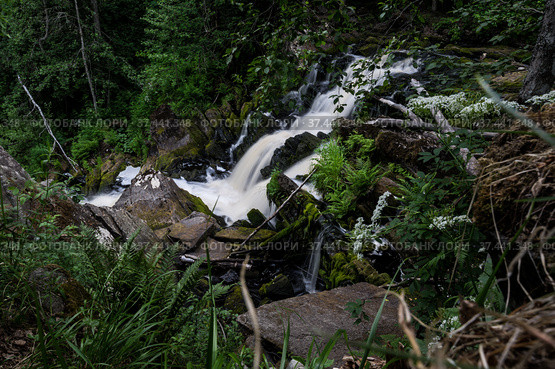 Yukankoski waterfall (also known as White bridges) on the river Kulismayoki. Стоковое фото, фотограф Юлия Белоусова / Фотобанк Лори