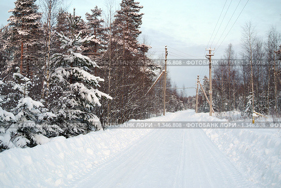 Загород. Стоковое фото, фотограф Омельян Светлана / Фотобанк Лори