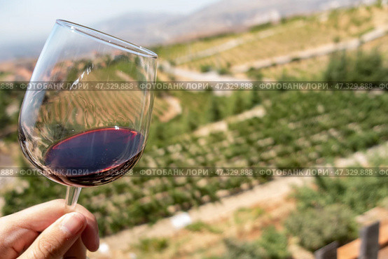 Zahle wineyards. Glass of local produced red wine in Lebanon. Стоковое фото, фотограф Ignacio Martinez / Фотобанк Лори