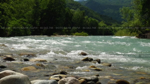 Замедленная съемка красивой мощной горной реки с прозрачной водой на фоне зеленых горных склонов. Красота нетронутой природы. Нижний ракурс. Стоковое видео, видеограф Воловодов Владимир / Фотобанк Лори