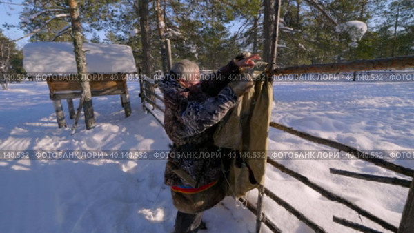 Западная Сибирь, оленевод ханты отряхивает тент от снега. Western Siberia, the reindeer herder of the Khanty people shakes the tent from the snow. Стоковое видео, видеограф Евгений Романов / Фотобанк Лори
