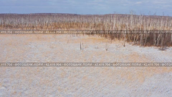 Западная Сибирь, Омская область. Болото и зимний лес. Вид с воздуха. Western Siberia, Omsk region. Swamp and winter forest. Aerial view. Стоковое видео, видеограф Евгений Романов / Фотобанк Лори