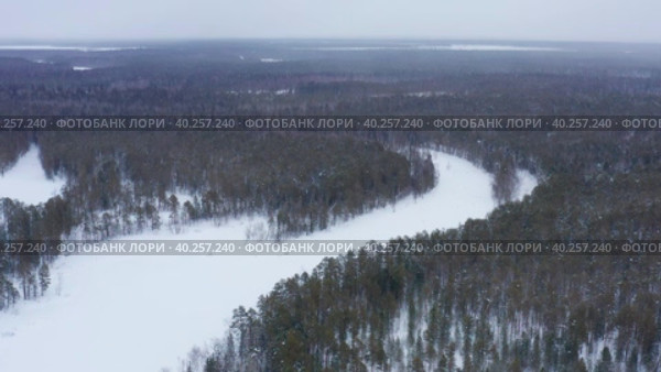 Западная Сибирь: вид на зимнюю тайгу с воздуха. Western Siberia: a view of the winter taiga from the air. Стоковое видео, видеограф Евгений Романов / Фотобанк Лори