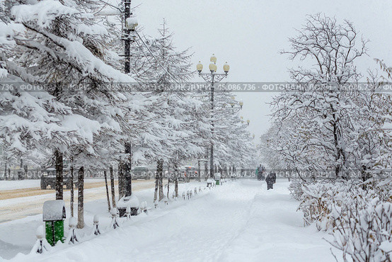 Заснеженная городская улица во время снегопада. Много снега на тротуаре, кустах и ​​деревьях. Сугробы на земле. Вдалеке люди и машины. Холодная снежная зимняя погода. Стоковое фото, фотограф Андрей Степанов / Фотобанк Лори