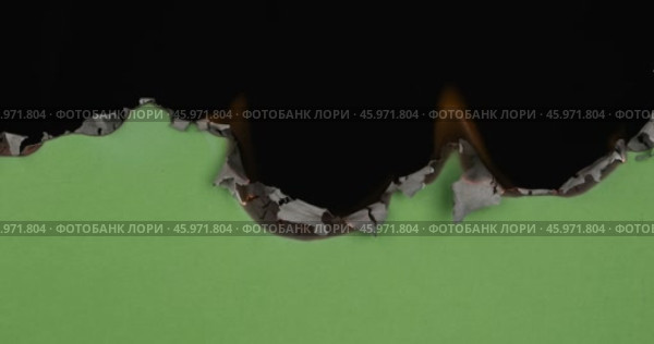 Зеленая бумага сгорает, обнажая обгоревшие края, дымится и превращается в пепел. Горит зеленый экран. Черный фон. Стоковое видео, видеограф Александр Собко / Фотобанк Лори