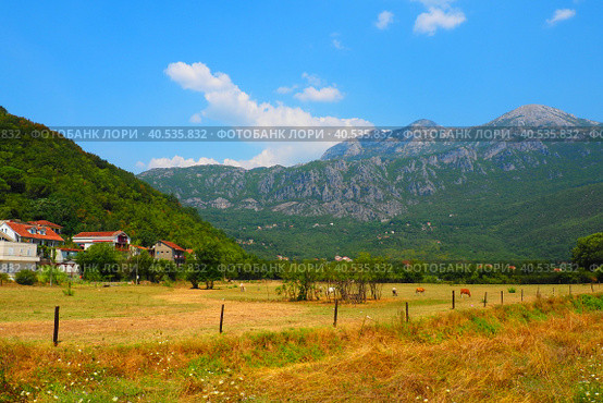 Zelenika, Snezhnitsa mountain, Herceg Novi, Montenegro, August 10, 2022. Valley with withered grass, late summer pasture. Mountains Snezhnitsa. Altitudinal climatic zonality. Residential houses. Редакционное фото, фотограф Юлия Петровская / Фотобанк Лори