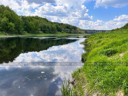 Зеленые берега вдоль русла реки Угра. В спокойной воде отражаются небо и белые облака. Типичный пейзаж средней полосы России. Калужская область. (2024 год). Стоковое фото, фотограф Сергей Никифоров-Гордеев / Фотобанк Лори