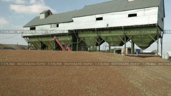 Зернохранилище. Стоковое видео, видеограф R.I.Production / Фотобанк Лори