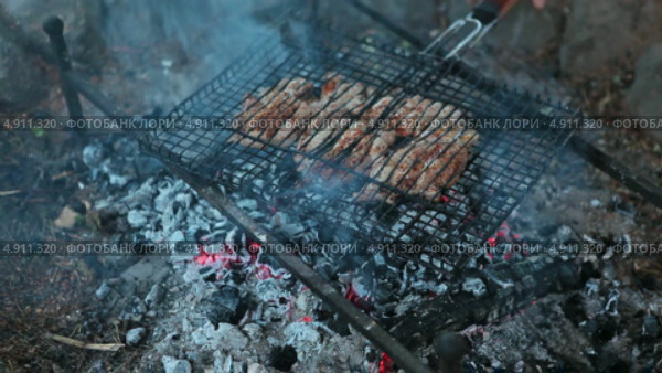 Жареное мясо на решетке на углях костра. Стоковое видео, видеограф Кекяляйнен Андрей / Фотобанк Лори