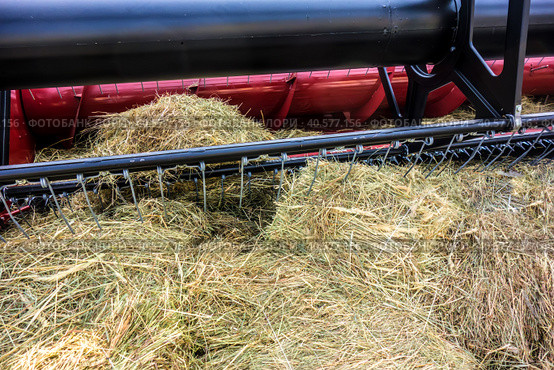 Жатка хлебоуборочного комбайна за работой крупным планом/ Combine harvester closeup at work harvesting a field of crops. Стоковое фото, фотограф Iva Noel / Фотобанк Лори