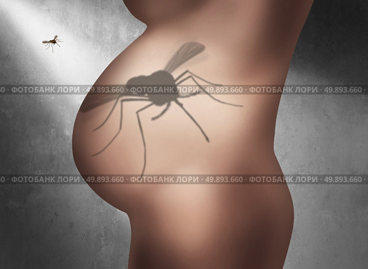 Zika pregnancy fear medical concept and virus danger concept as an infectious mosquito casting a shadow of the insect on the pregnant abdomen belly of a woman victim spreading disease in a 3D illustration style. Стоковое фото, агентство Ingram Publishing / Фотобанк Лори