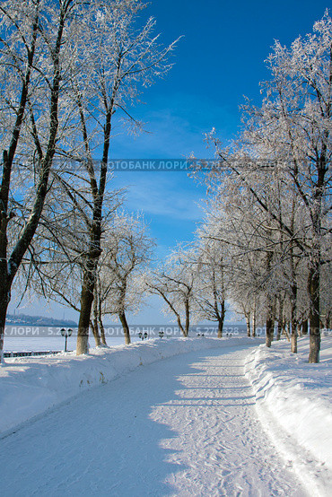 Зимний городской парк. Стоковое фото, фотограф ElenArt / Фотобанк Лори