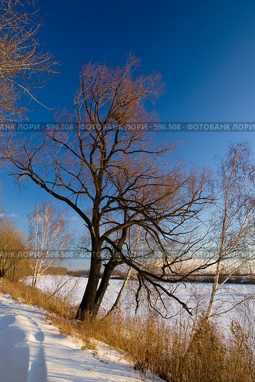 Зимний пейзаж. Стоковое фото, фотограф Виктор Ковалев / Фотобанк Лори