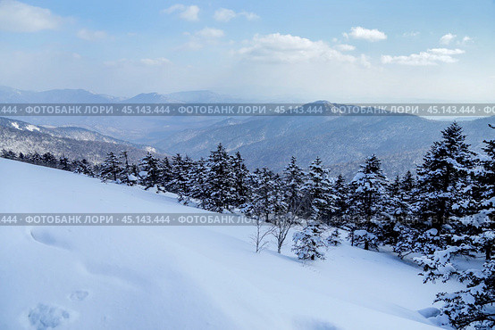 Зимний пейзаж на горе Фалаза (Литовка), Приморский край. Стоковое фото, фотограф Римма Тельнова / Фотобанк Лори